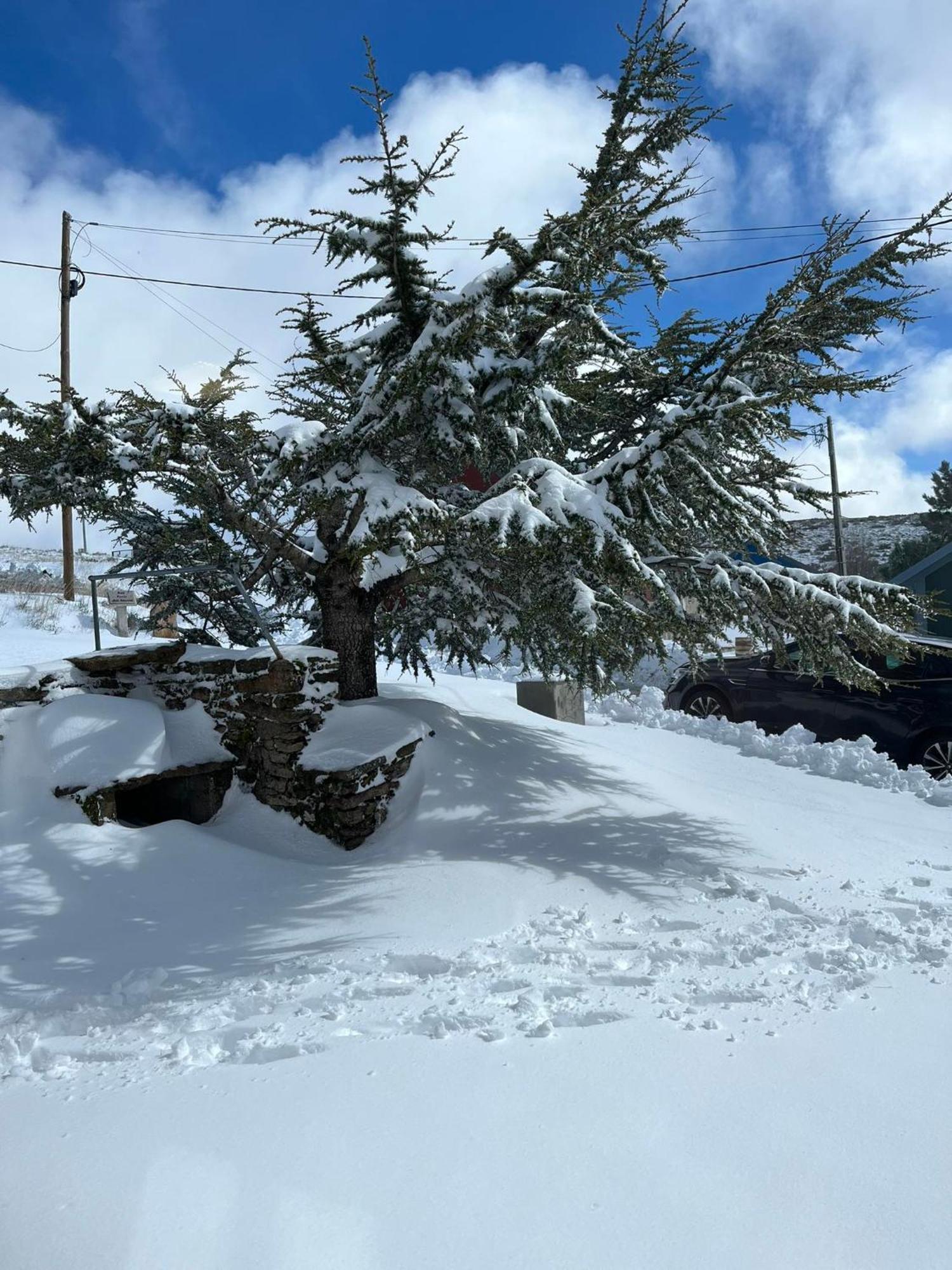 Casa Dos Pinheiros - Serra Da Estrela Penhas da Saude