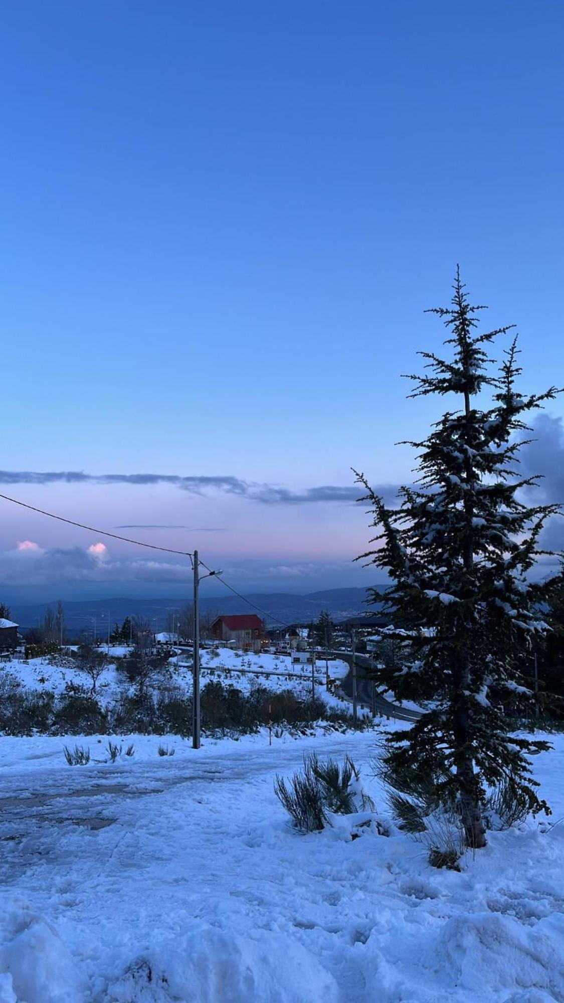 Casa Dos Pinheiros - Serra Da Estrela Holiday home *